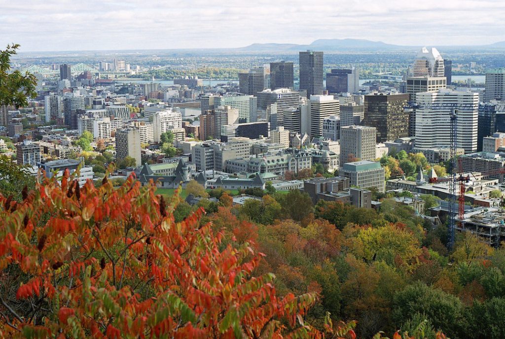 Discover the View from Mount Royal