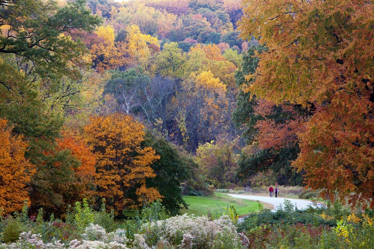 US National Arboretum
